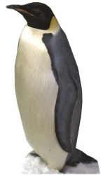 SC-068 Pinguin