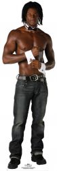 SC-403 Chippendale - Chaun