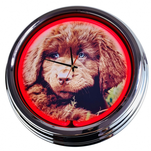 N-0475 Neufi Welpe Große Neon-Uhr 17" Zoll Retro Wanduhr