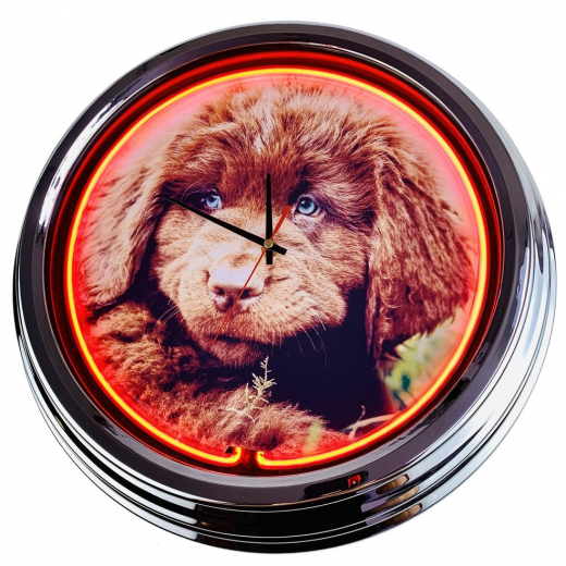 N-0475 Neufi Welpe Große Neon-Uhr 17" Zoll Retro Wanduhr