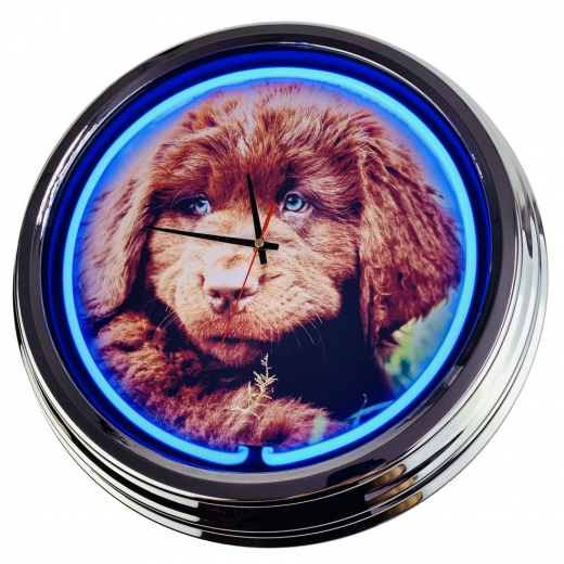 N-0475 Neufi Welpe Große Neon-Uhr 17" Zoll Retro Wanduhr