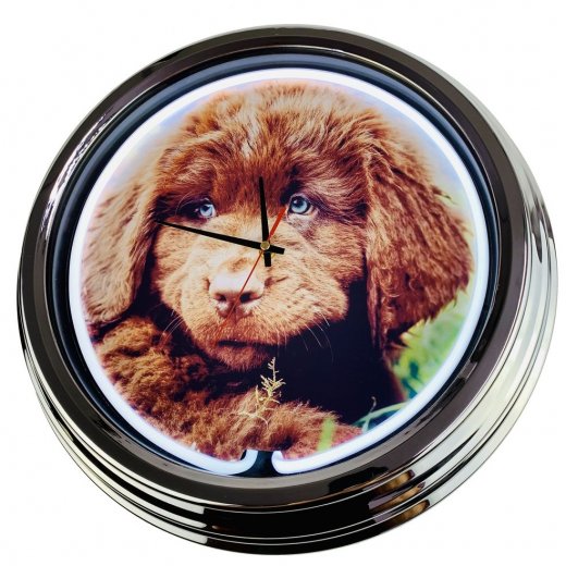N-0475 Neufi Welpe Große Neon-Uhr 17" Zoll Retro Wanduhr