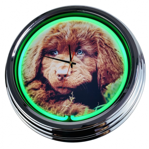 N-0475 Neufi Welpe Große Neon-Uhr 17" Zoll Retro Wanduhr