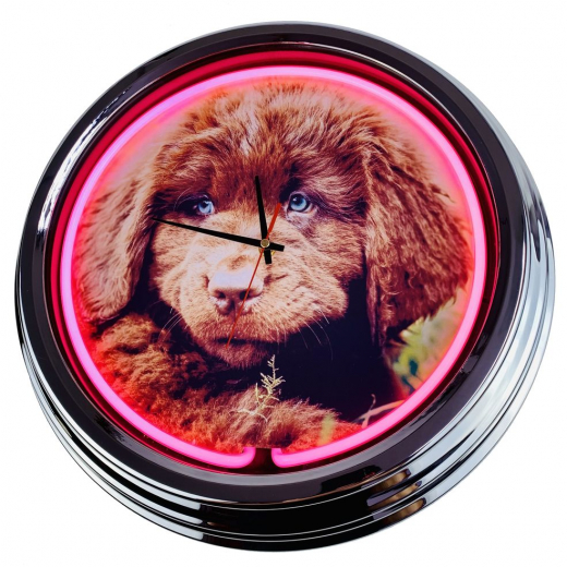 N-0475 Neufi Welpe Große Neon-Uhr 17" Zoll Retro Wanduhr