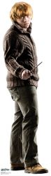 SC-641 Ron Weasley