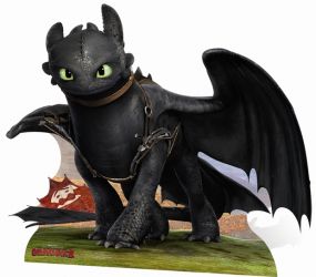 SC-736 Drache Nachtschatten - Drachenzhmen leicht gemacht 2