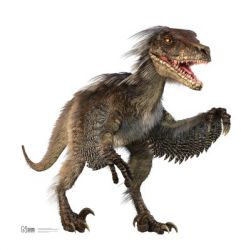 #1038 Velociraptor Dinosaurier