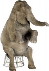 #1480 Asian Elephant