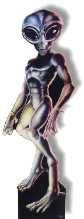#325 Male Roswell Alien