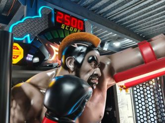 G-117 Cage Fighter Boxautomat - Der ultimative Spa
