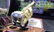 FS-3024 Pirate Treasure – Der Piratenschatz wartet!