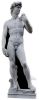 SC-144 Michelangelo`s David Statue