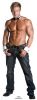 SC-476 Chippendale - Billy Cuff'n Collar