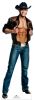 SC-530 Chippendale - Jaymes Vaughn