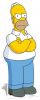 SC-610 The Simpsons - Homer -