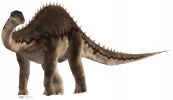 #1034 Diplodocus Dinosaurier