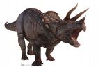 #1037 Triceratops Dinosaurier