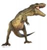 #1041 T. Rex Dinosaurier