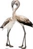 #1490 Flamingos - Lovebirds